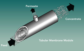 tubular membrane